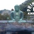 Primitive Samples Japan for Kikkoman Collab