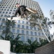 Converse Introduces Dane Barker With 3 Minutes of Footage